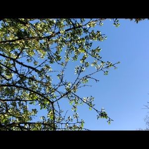 Meet your Posher, Kaylee